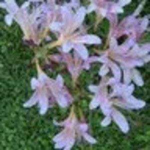 Meet your Posher, Leanne